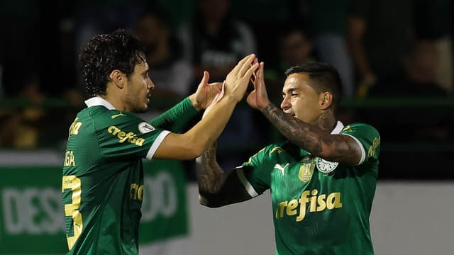 UFMG atualiza números e Palmeiras se anima com título brasileiro