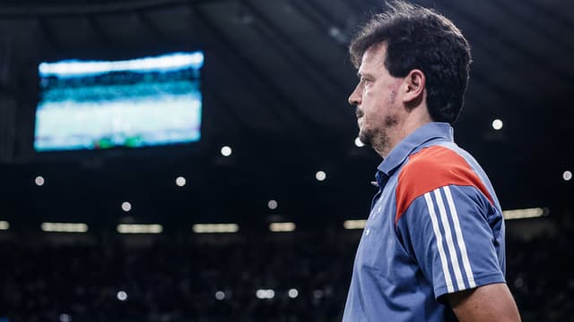 Cruzeiro toma decisão sobre o futuro de Fernando Diniz no clube