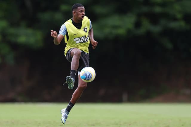 Botafogo zera o departamento médico e tem elenco reforçado antes da reta final da temporada