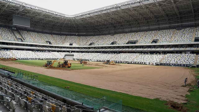 Palmeiras, Atlético e Botafogo se posicionam sobre grama sintética