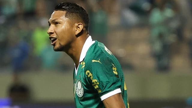 Pedrinho põe fim a silêncio e admite interesse por Rony