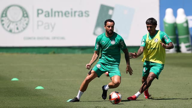 São Bernardo x Palmeiras: onde assistir, horário e prováveis escalações pelas quartas de final do Paulistão 2025