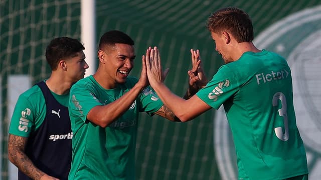 Botafogo se aproxima de acerto por joia do Palmeiras